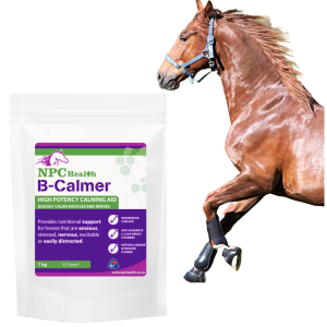 Calming supplement for horses that works.