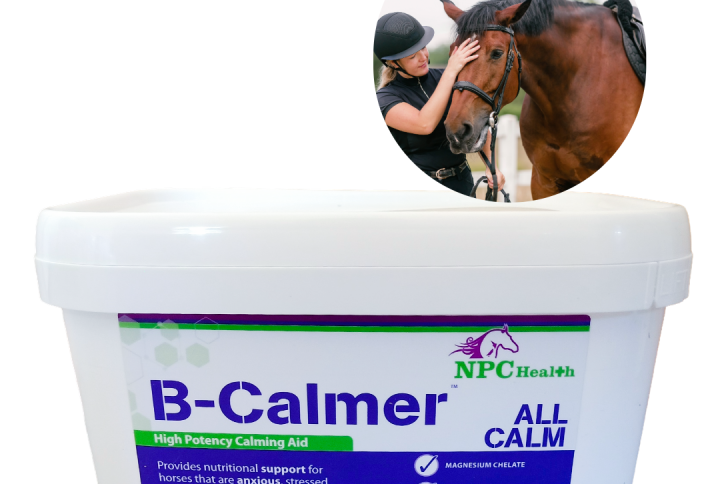 B Calmer calming supplement for horses.