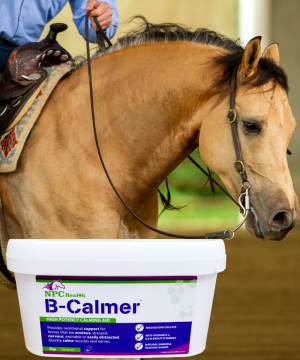 Calming supplements that work for horses.