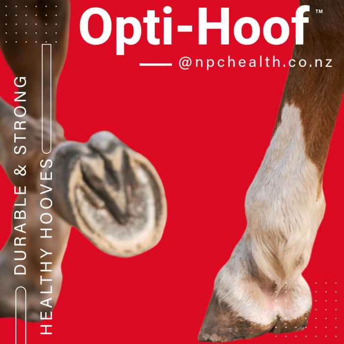 Opti-HOOF | Biotin for horse hooves