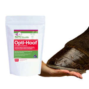 Biotin for horse hooves that are cracked, split, brittle or need to grow out and strengthen.