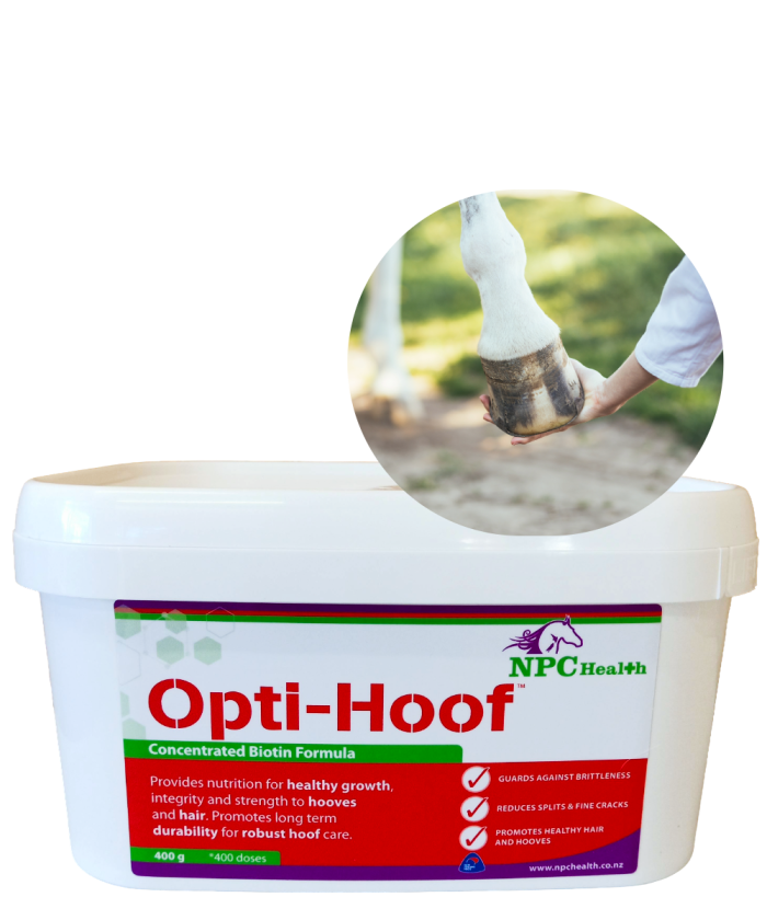 Opti-HOOF | Biotin for horse hooves