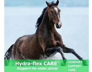Comprehensive and targeted care For aged and older jointsedited4 scaled 1