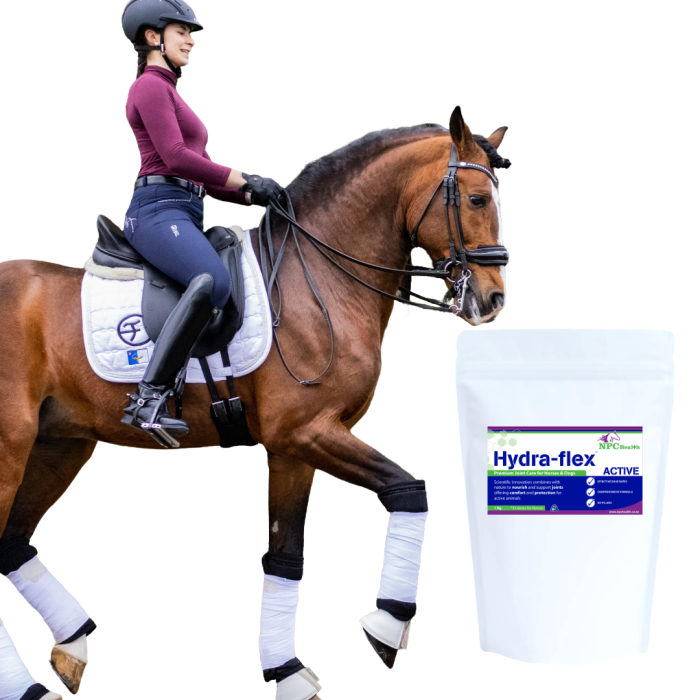 Hydra-flex Active Joint Supplement for horses RESTOCKED!