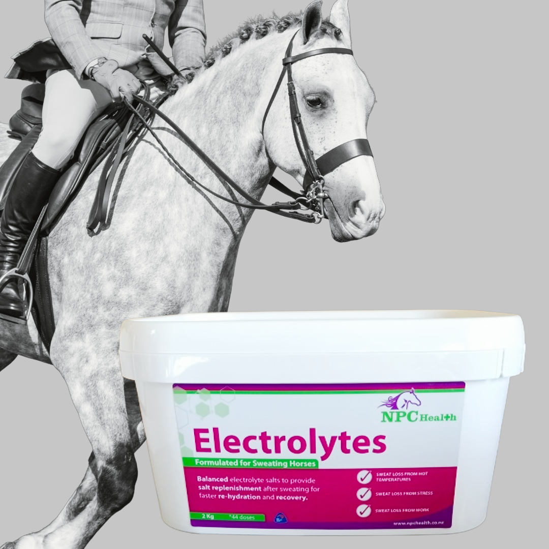 Electrolyes for horses in NZ