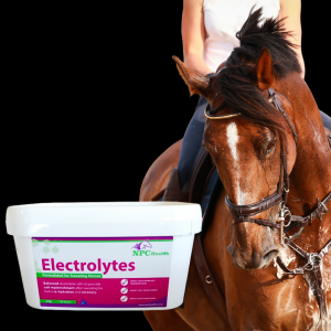 Electrolytes for horses to replace lost salts in sweat.