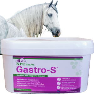 Ulcer supplement for horses using natural ingredients for soothing and healing the gut.