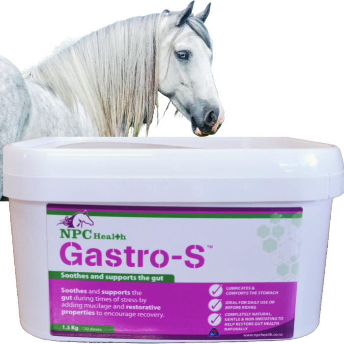 Natural Ulcer supplement for horses