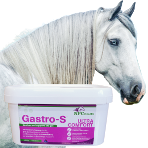 Natural supplement for sensitive stomachs and stomach ulcers in horses.