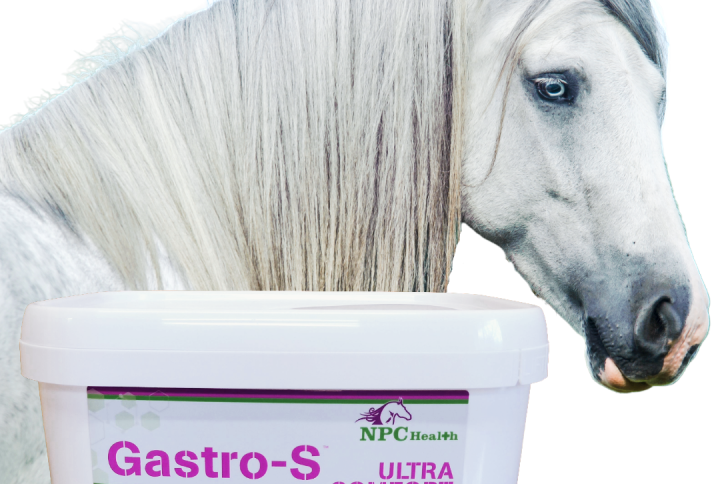 Natural supplement for sensitive stomachs and stomach ulcers in horses.