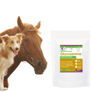 Glucosamine for horses and dogs.