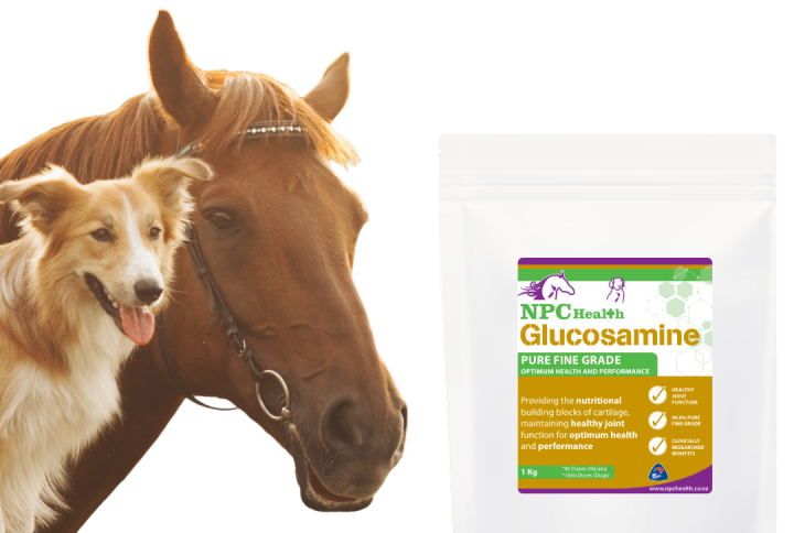 Glucosamine for horses and dogs.