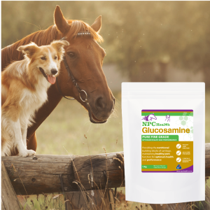 Glucosamine joint supplement for canine and equine flexibility.