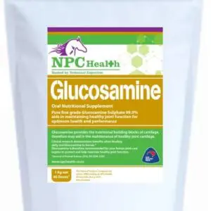 Glucosamine for horses and dogs to maintain healthy joints.
