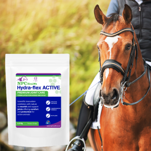 Hydra flex Active for sport horses and those in training.