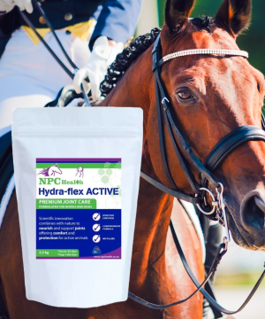 Joint supplement for horses that compete to protect and comfort joints promoting maximum flexibility for the performance horse.
