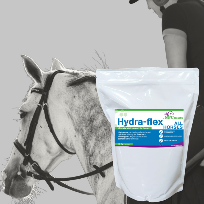 Hydra-Flex All Horses | Equine Joint Supplement 1 Hydra-Flex All Horses | Equine Joint Supplement