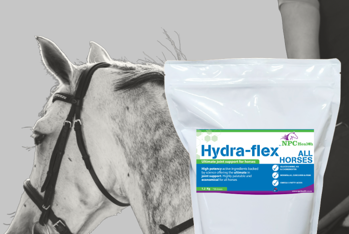 Hydra-Flex All Horses' Equine Joint Supplement For The Maintenance Of Healthy Cartilage And Joints For Every Horse, Supplied Nz Wide.