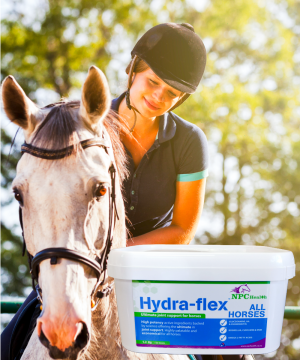 Hydra-flex All horses equine joint supplement.