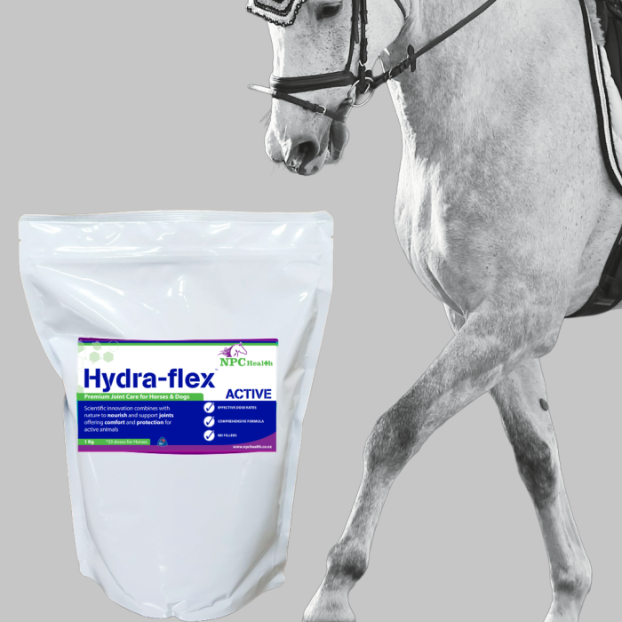 Hydra-Flex Active Joint Supplement For Horses