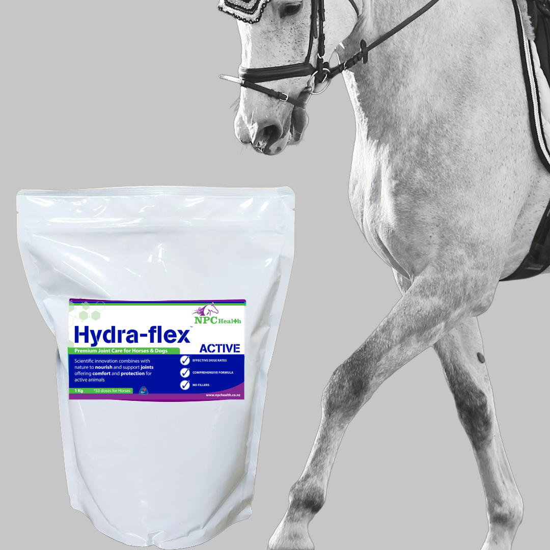 Joint supplement for horses (2)