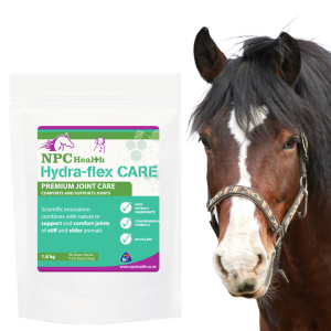 Best joint supplement for stiff horses.