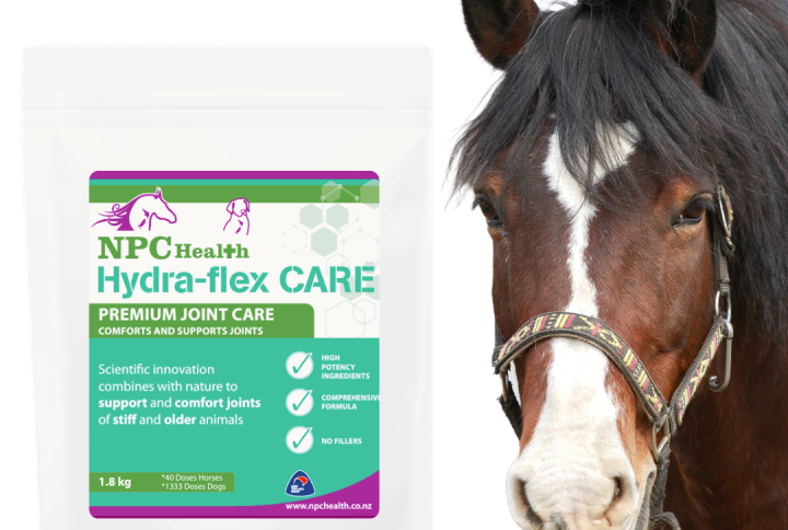 Best joint supplement for stiff horses.