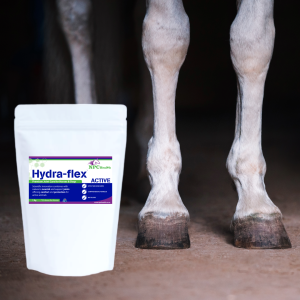 Hydra flex active joint health supplement for horses.
