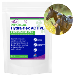 Hydraflex active joint supplement for competition horses and ponies.