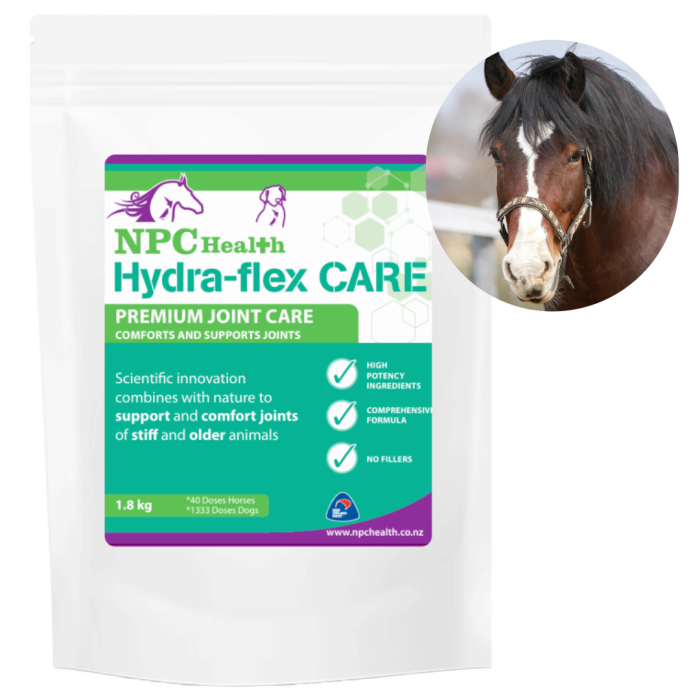 Hydra-flex Care | Best Supplement for stiff horses
