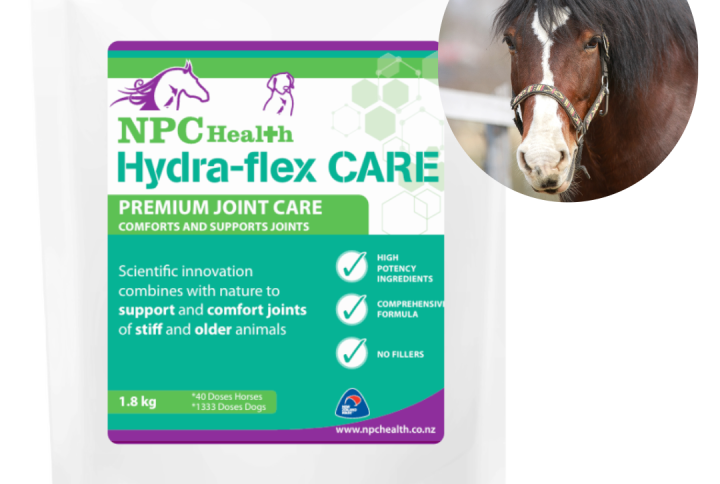 Hydra flex care for old or stiff horses.