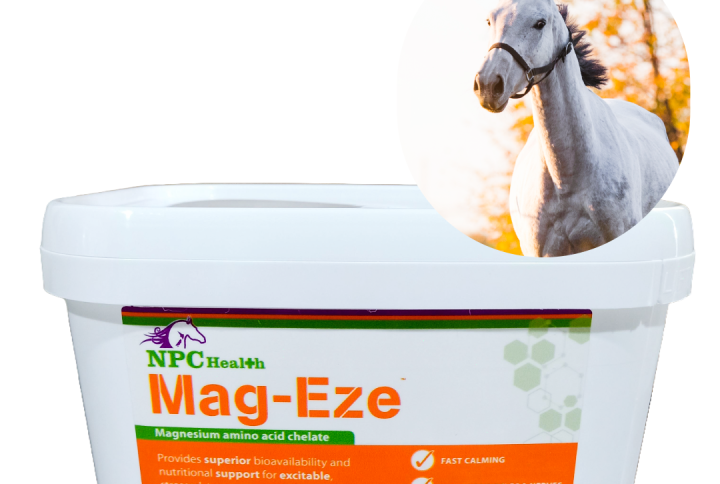 Mag-eze chelated magnesium for horses.