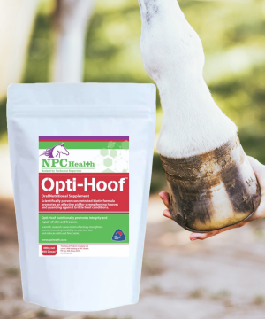 Biotin for hooves to encourage hard, healthy hoof free of splits, cracks and brittleness.