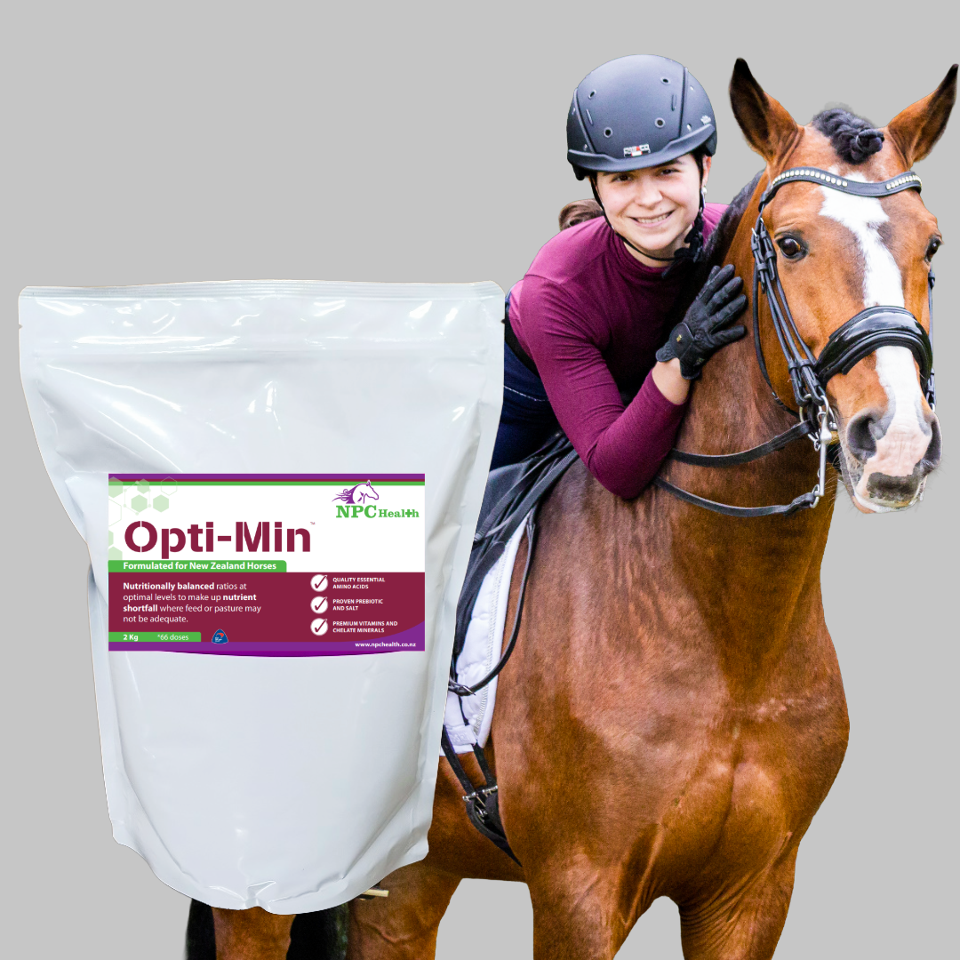 Best minerals for horses.