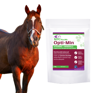 Best vitamins and minerals for healthy horses made in New Zealand.