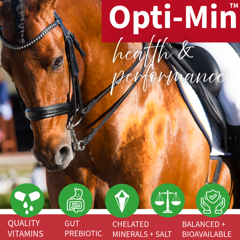 Opti-min top horse minerals.