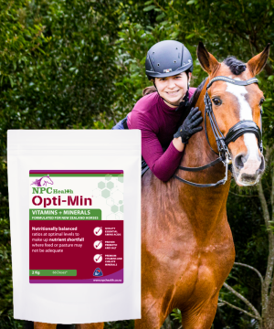 Best vitamins and minerals for horses.