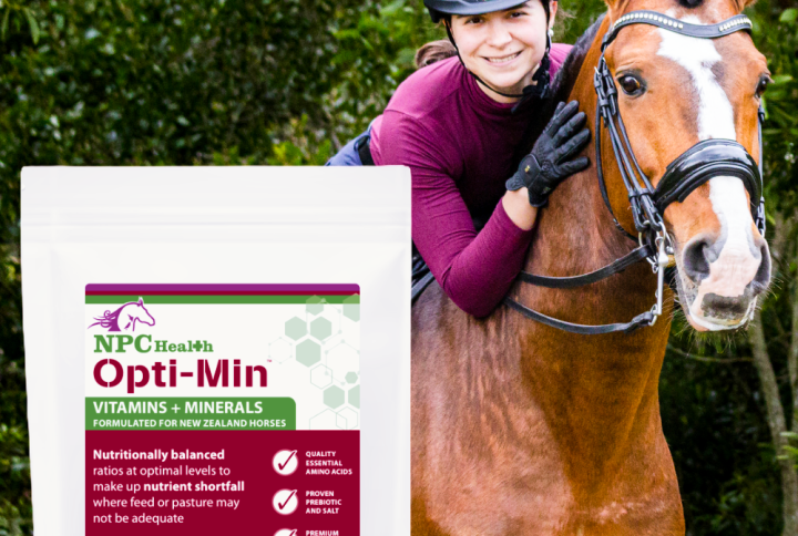 Best vitamins and minerals for horses.