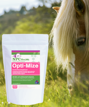 Grass affected horses need extra magnesium and a mycotoxin binder in their diet.