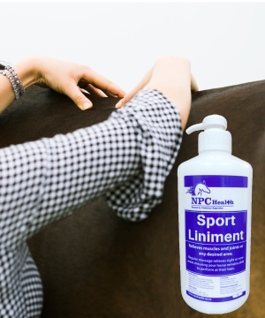 Horse massage liniment used by horse owners and professional equestrian equine therapists to relieve sore muscles and joints.