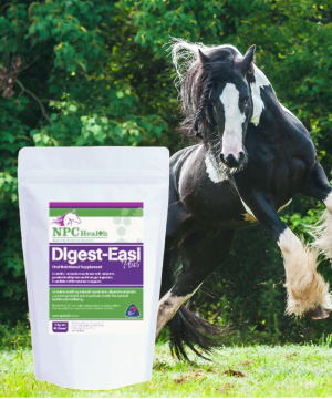 Toxin binder for horses using a proven mycotoxin profile to reduce toxic effects and behavioural issues. Combines a digestive aid for total care of horses at grass.