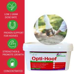 Biotin for horse hooves.
