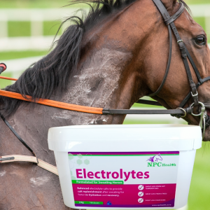 Horse Electrolytes for recovery after sweating.