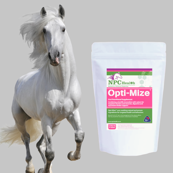 Opti-Mize Grass Affected Horses 1 Opti-Mize Grass Affected Horses