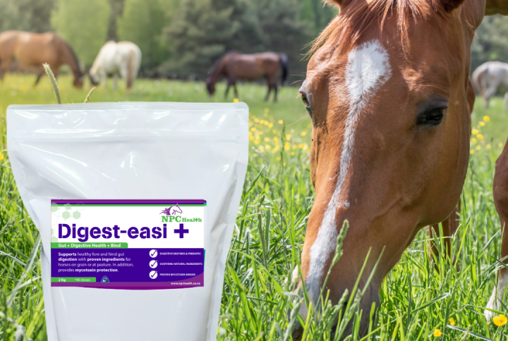 Digest-Easi Digestive Supplement For Horses With Mycotoxin Binder, Assists The Diet And Helps To Keep Horses In Optimal Health.