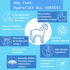 Reasons to feed Hydraflex All Horses joint supplement for horses.