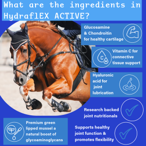 Quality joint supplement for performance horses or active horses in training.