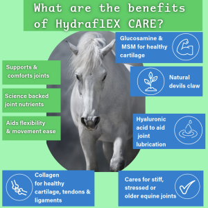 Hydraflex Care the equine joint supplement for stiff, older or stressed joint of horses.
