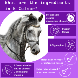 B Calmer the calming supplement for New Zealand horses.