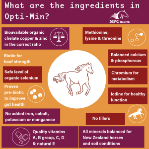 Ingredients of Opti-min vitamins and minerals for New Zealand horses.